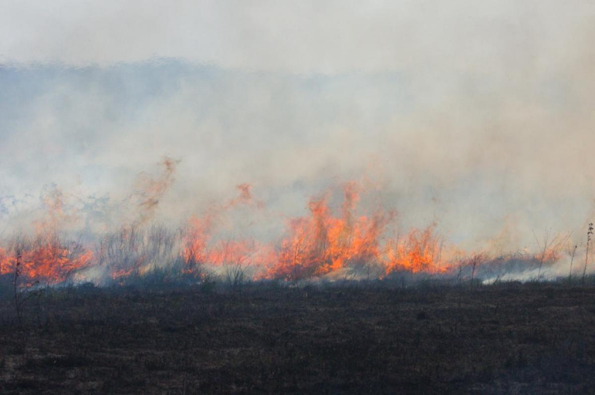 Incendio