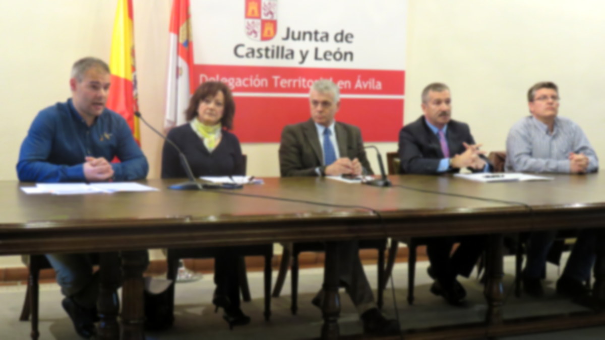 Un momento de la firma y presentación del Plan en el Consistorio de Ávila.