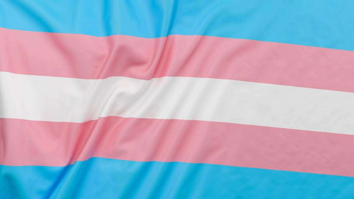 Bandera trans