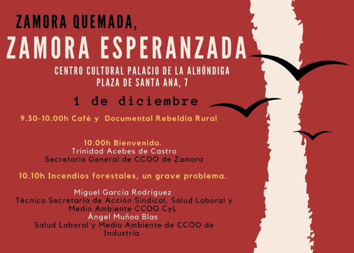 Detalle cartel de la jornada Zamora.