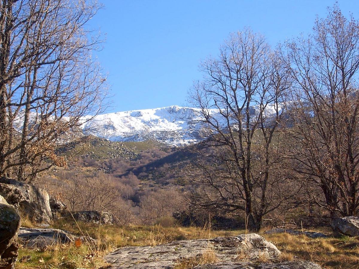 Bjar, Covatilla