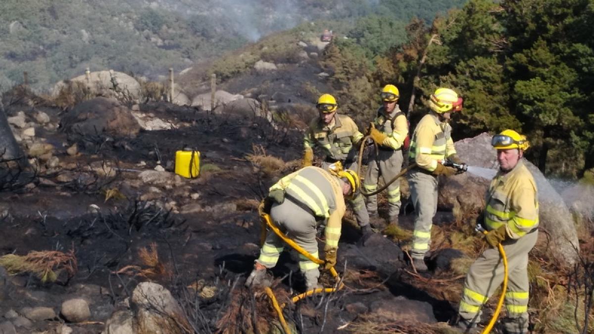 CCOO Industria Se Tizna en el Incendio Forestal de Candelario