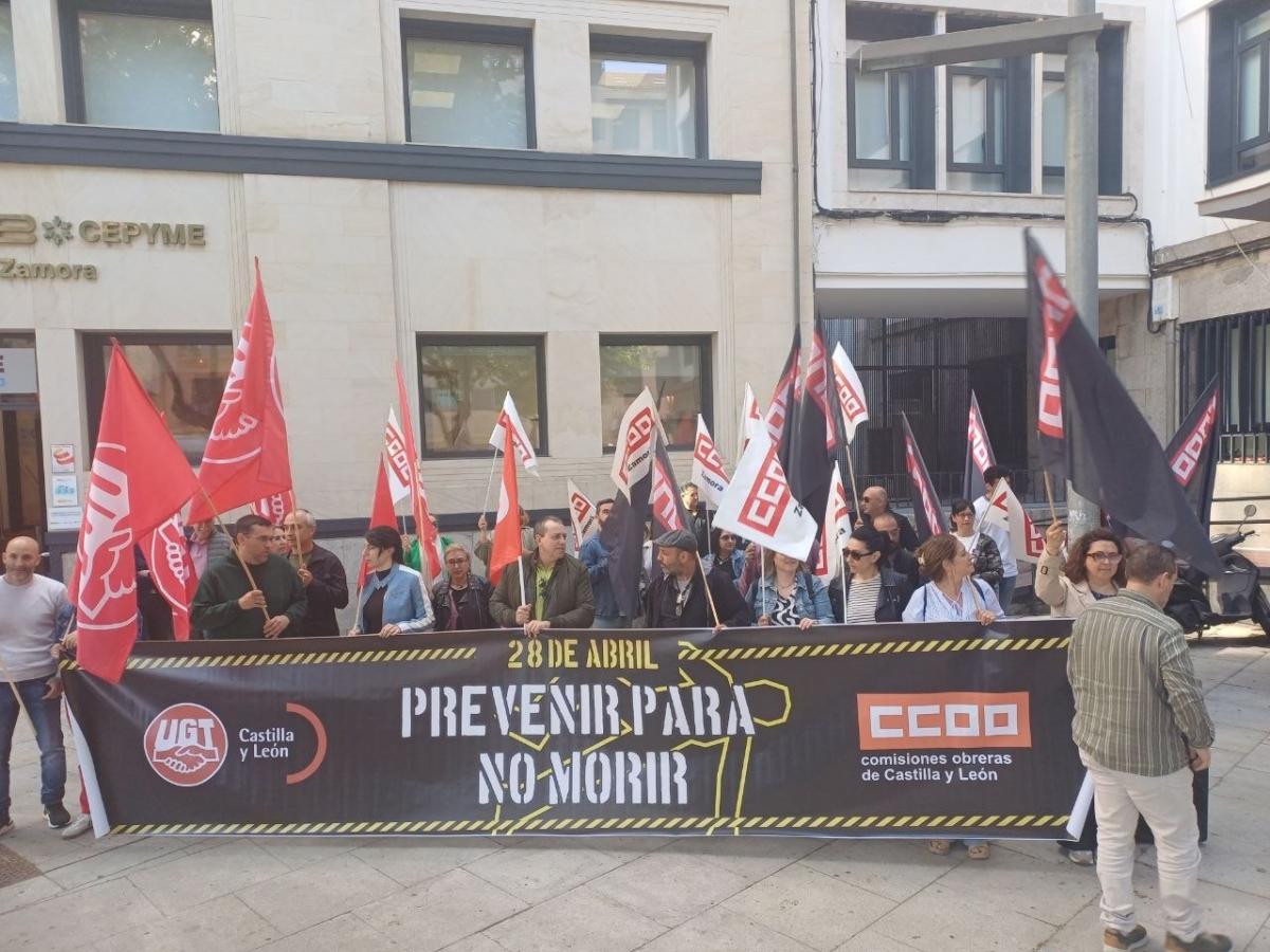 Zamora 28A